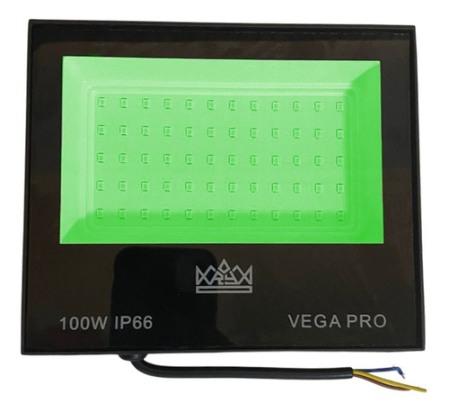 Refletor 100w Led Holofote Verde 110v/220v Prova D'água