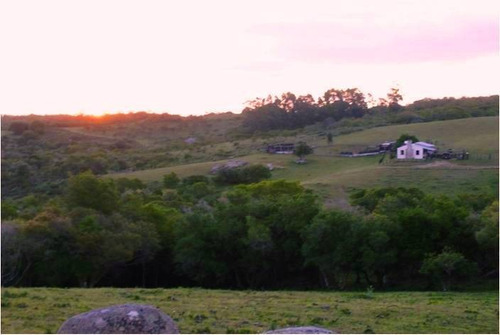Quinta En Venta De 3 Dormitorios En Jose Ignacio