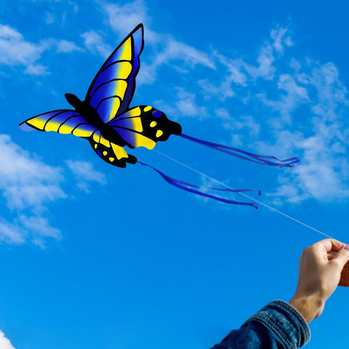 Divertida Cometa De Mariposa Para Deportes Al Aire Estilob