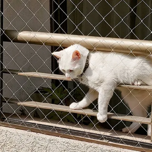 realidad Desde allí Transistor Malla Transparente Cerramiento Mascota , Gatos 10 Metros | Cuotas sin  interés