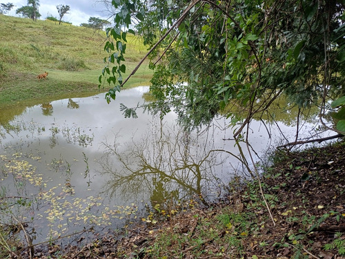 Chácara Em Área Rural Com 3.500 Metros Quadrados.