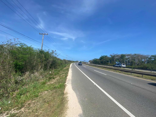 Venta De Terreno En Boca Chica Con 100,000mts En La Avenida