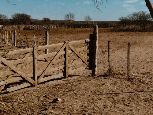 Campo En Venta En Santa Isabel, La Pampa