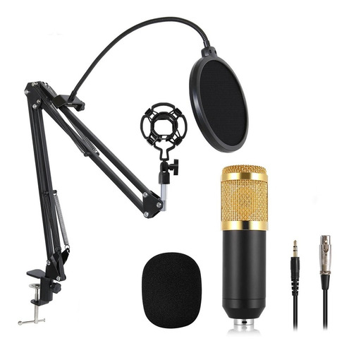 Microfono Condensador Estudio Profesional Voz Y Musica Kit