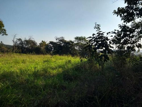 Imagem 2 de 5 de Terreno Á Venda No Bairro Piraporão, Piedade - Sp - Te00143 - 68015888