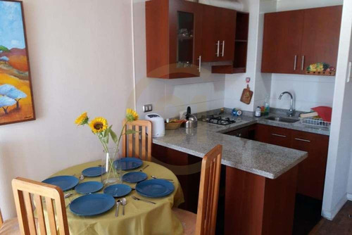 Arriendo Depto Amoblado 1d 1b Concepción