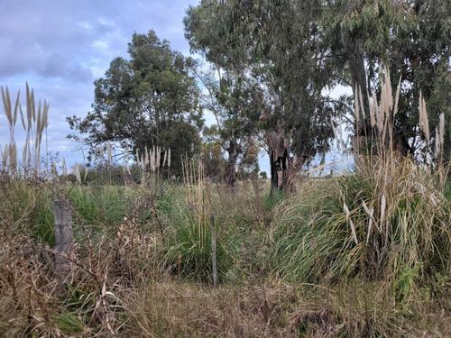 Campo En Venta Canning 51 Hectareas