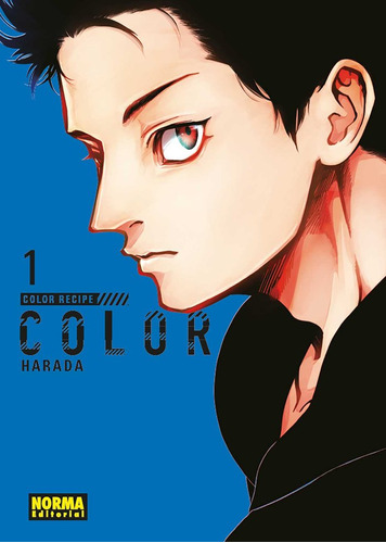 Libro Color Recipe 1 - Harada