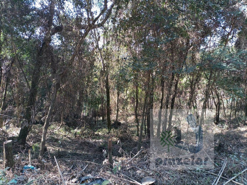 Imagem 9 de 14 de *** Lindo Terreno ***