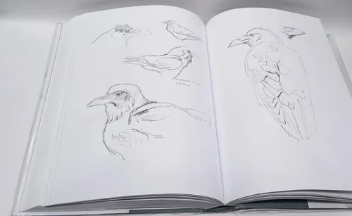 Aves Que Veo En Invierno - Lars Jonsson (Usado)