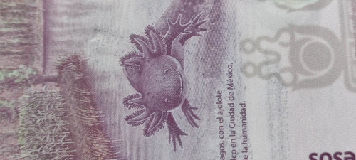 Billete De 50 Pesos Ajolote Serie Ag Con Error De Impresión