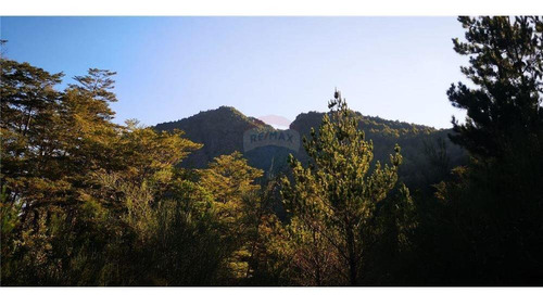 Pucon Parcela En Sector Cerduo - Oportunidad