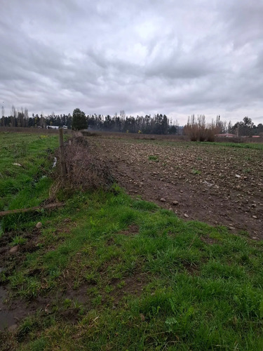 Hermosa Parcela 2 Ha.  20.000 M2,  Estacion De Villa Alegre