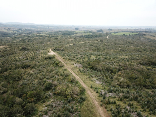 Punto Río | 84 Hectáreas En La Zona De Don Carlos