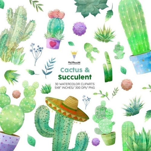 Cliparts Imagenes Png Cactus Suculentas Acuarela M9