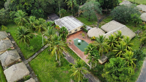 Imagen 7 de 27 de Se Vende Finca El Maitero Via El Sur De Monagas Ve02-1098vs-mtru
