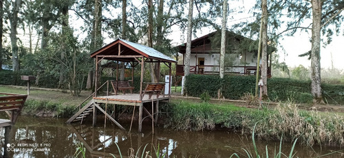 Imagen 2 de 14 de Alquiler Casa Villa Callari Arroyo Santa Rosa Delta Tigre Tres Bocas