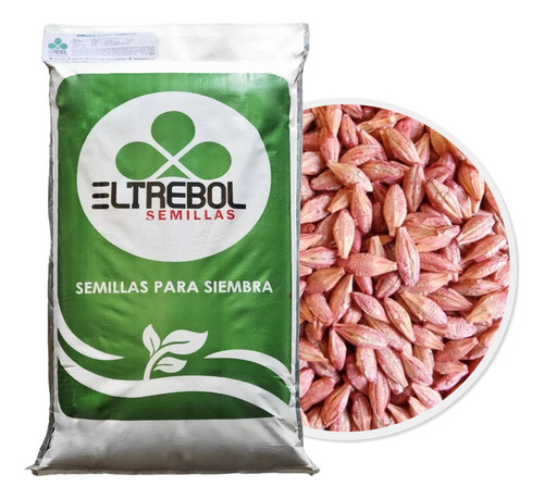 Semilla De Cebada Forrajera (1 Kg)