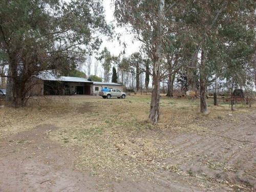 Imagen 27 de 30 de Finca De 62 Ha - General Alvear- Mendoza