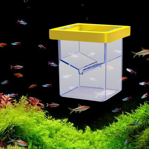 Caja De Aislamiento Para Cría De Peces, Incubadora Flotante
