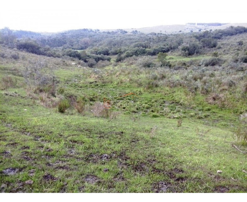 Campo En Venta En Uruguay, Lavalleja A Pocos Km De Minas- Ref: 22035