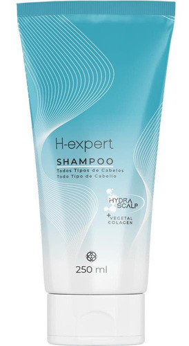 Shampoo Para Os Tipos De Cabelos H-expert 250ml