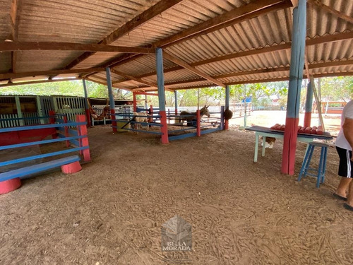 Imagem 5 de 15 de Chácara À Venda Com 3 Casas Barra Verde Limeira - Ch-105-1