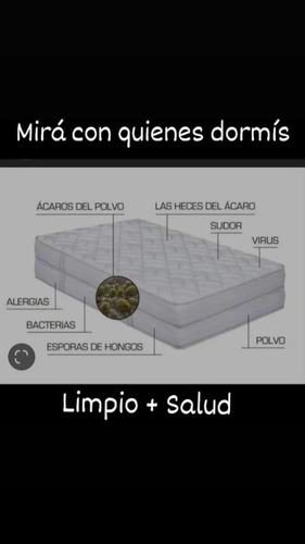 Imagen 9 de 11 de Limpieza De Alfombras,sillones,carpetas. 36 Años Respaldan