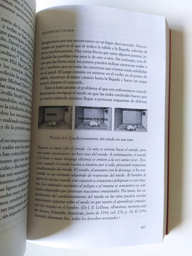 El Cerebro Emocional: Ninguno, De Joseph Ledoux. Serie Ninguna, Vol. 1. Editorial Ariel-planeta, Tapa Blanda, Edición Ariel-planeta En Español, 1999