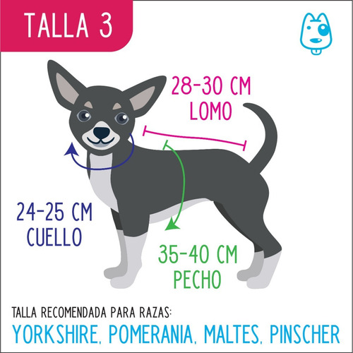 Colección Casual Para Perrita Talla 3
