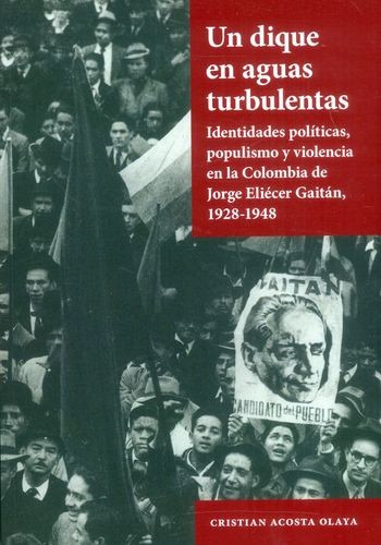 Libro Un Dique En Aguas Turbulentas. Identidades Políticas,