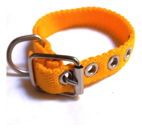 Collar Plano Para Perros Pequeños