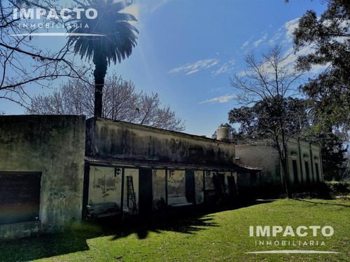 En Venta Campo Navarro, Buenos Aires 338 Has