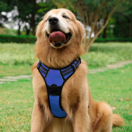 Arnés Para Perros Rabbitgoo No Pull, Ajustable, Con 2 Clips,