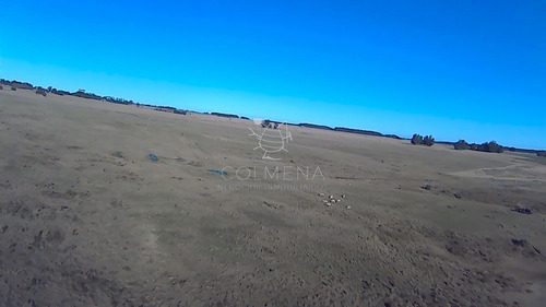 Imagen 19 de 28 de Venta Campo Ideal Para Fraccionar En Chacras Codigo 6003 - Las Garzas