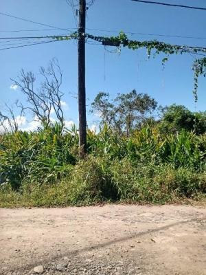 Imagem 3 de 9 de Terreno Perto Da Pista Medindo 250m² Em Itanhaém Litoral Sul