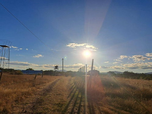 Parcela De 5000 M2 Factibilidad Pozo, Postación Eléctrica