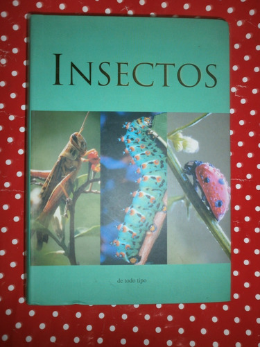 Insectos De Todo Tipo - Patrick Hook Ed. Parragon Exc Est!!!