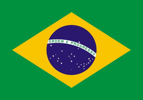 Bandera De Brasil 1,50mt X90cm