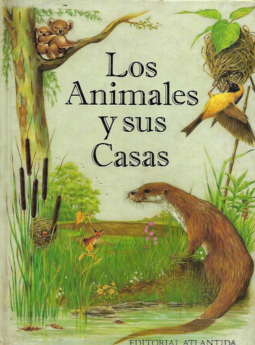 Los Animales Y Sus Casas - Bellisimamente Ilustrado