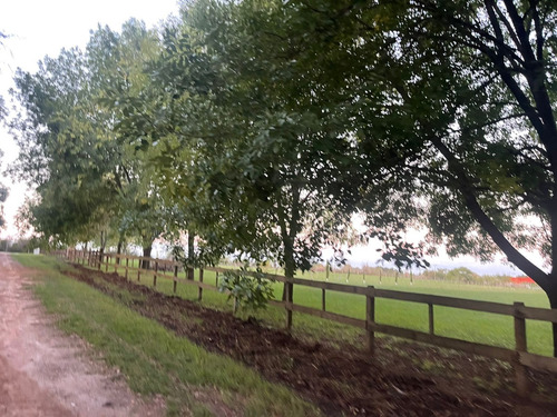 Imagen 10 de 12 de Lote A La Venta En Haras El Malacate