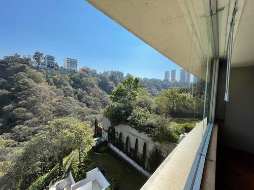 Imagen 15 de 30 de Península La Punta El Mejor Renta