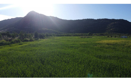 Parcelas Agroresidenciales Exclusivas En Curico Sector Rauco