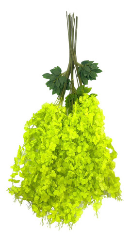 Enredaderas Con Flores