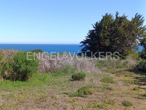 Vista Y Acceso Al Mar En Cahuil, Pichilemu.