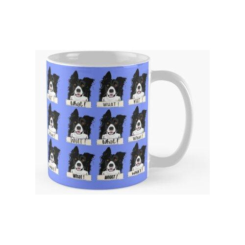 Taza Border Collie Qué Pegatinas Y Regalos Calidad Premium