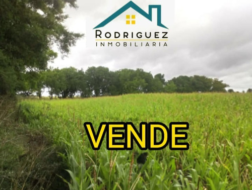 Imagen 1 de 8 de Campo 8 Hectáreas Las 3 Lomas En Gral: Madariaga
