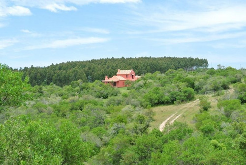 Quinta | Ruta 12 Y 5kms De Camino Vecinal