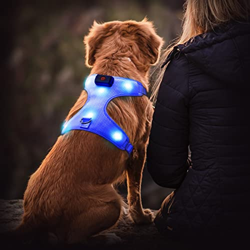 Arnés Led Para Perros Arnés Recargable Por Usb Con Luz Chale