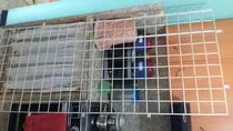 Comprar 4 Rejas Exhibidoras Usadas En Excelentes Condiciones 